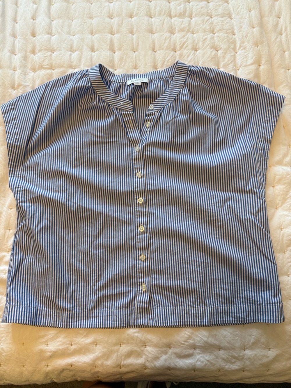 Evereve Blue and White Striped Button-Front Top